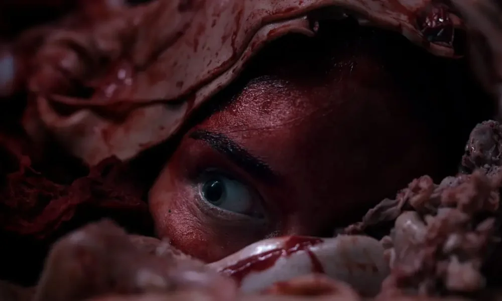 MEAT KILLS (aka VLEESDAG, 2025)