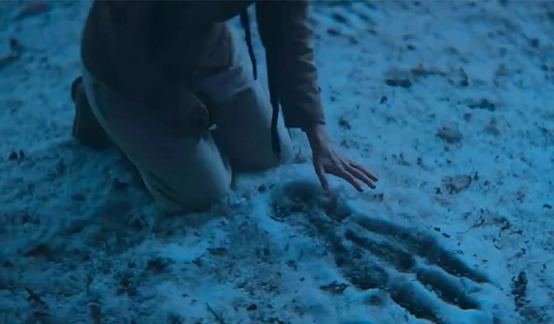 THE YETI (2026)