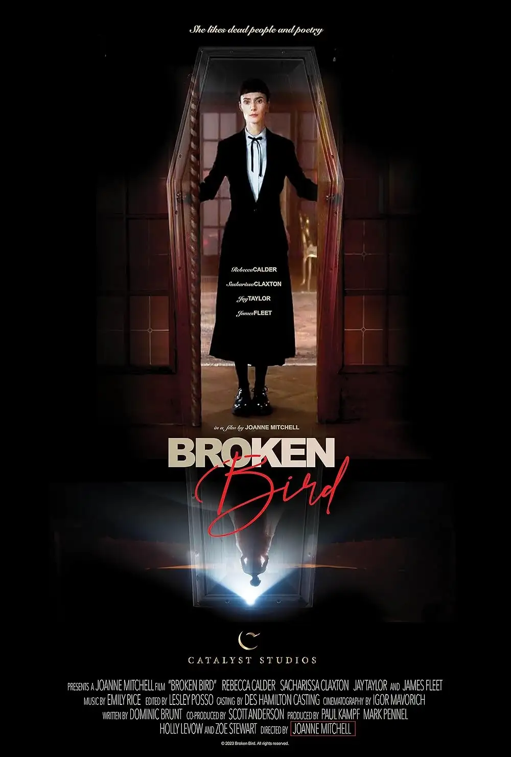 BROKEN BIRD (2024)